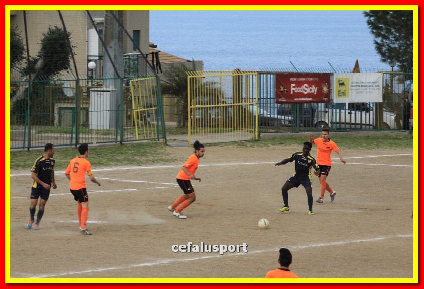 150321 stefanese 465_tn.jpg